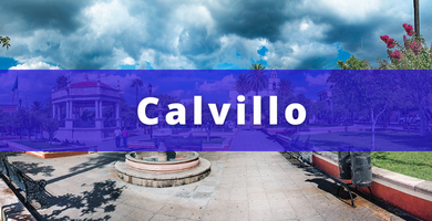 fletes y Mudanzas económicos Calvillo Aguascalientes