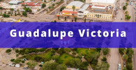 fletes y mudanzas económicas Guadalupe Victoria Durango