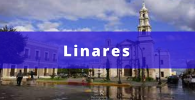 fletes y mudanzas económicas Linares Nuevo León