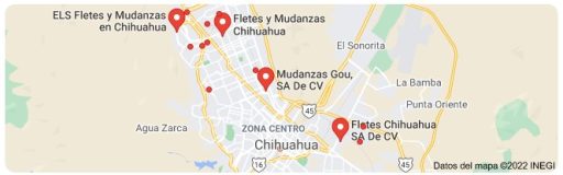 fletes y Mudanzas económicas Chihuahua capital 24 horas