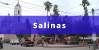 fletes y mudanzas económicas en Salinas San Luis Potosí